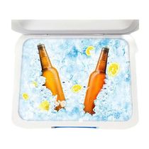 6L Camping Refrigerator Incubator Large Capacity Portable