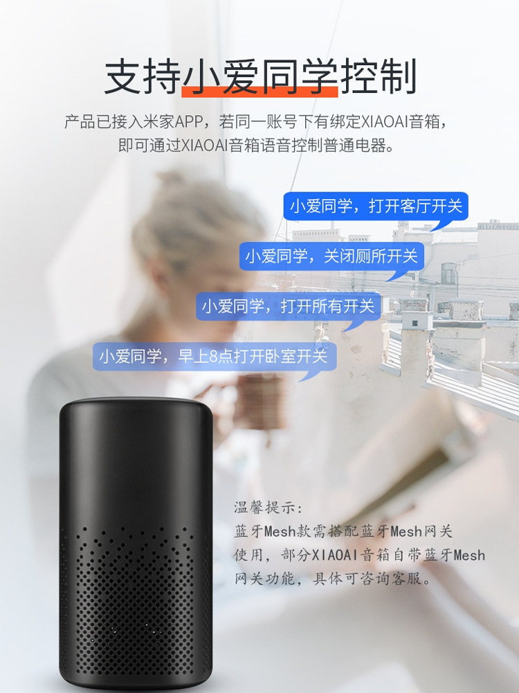 Specially Designed for Mijia Smart Switch Module, High-Power Scenario Mesh Switch, Voice Control by Xiao Ai