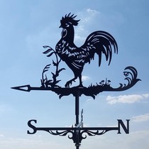 Metal stainless steel spray paint flying eagle weather vane courtyard garden outdoor iron rooster ornaments craft decorations