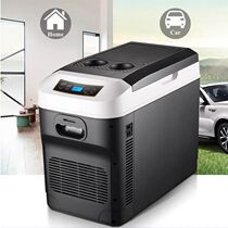 20L Car Home Mini Refrigerator DC12 24V Fridges Drinks Food