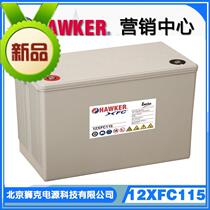 Genesis Enos battery NP50-12 12V50AH precision instrument power generation equipment imported battery