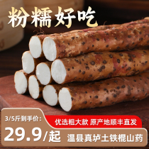 Authentic Wenxian loin soil iron bar yam freshly dug Huaihuai yam Henan Jiaozuo specialty iron bar yam 5 pounds