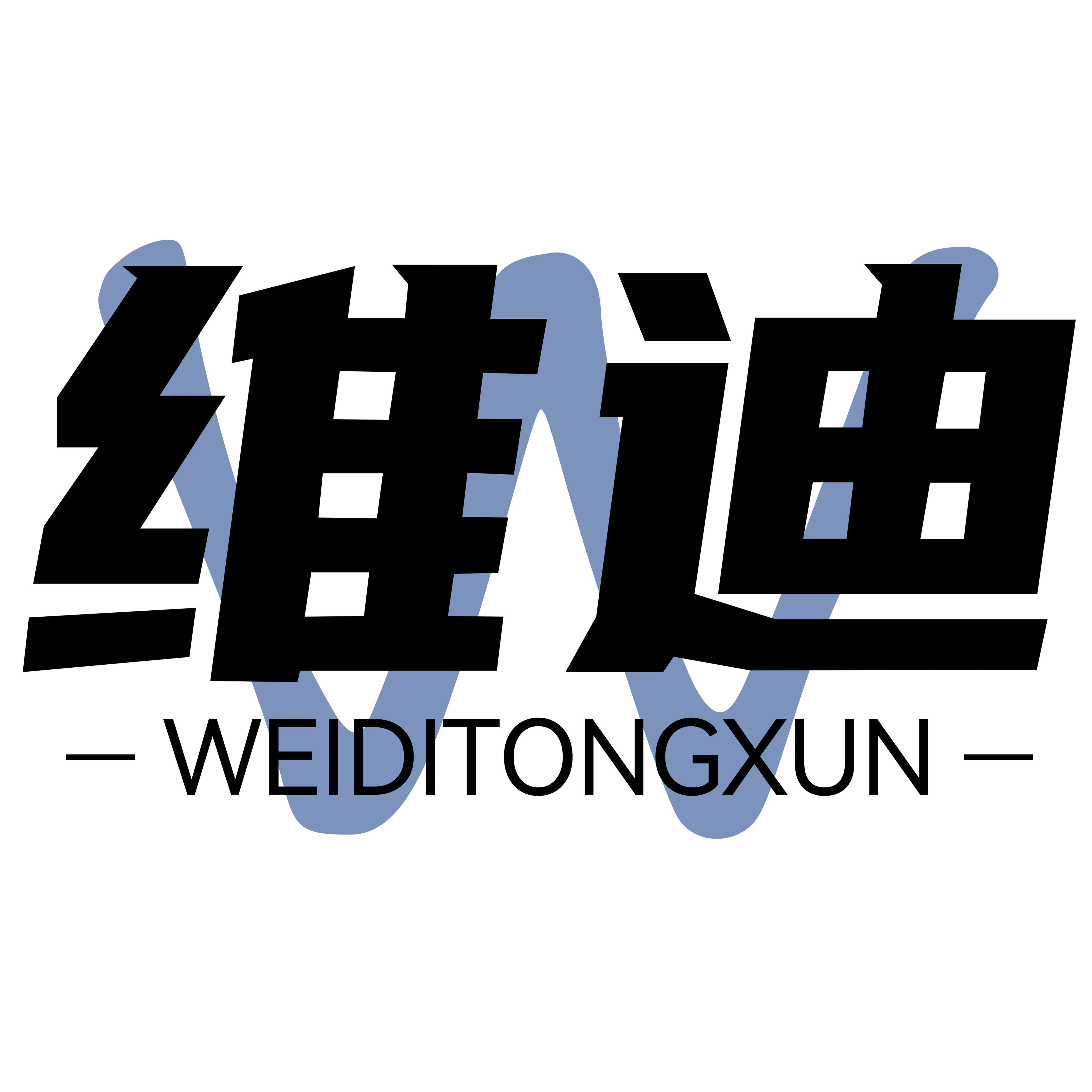 维迪通信专营店的LOGO