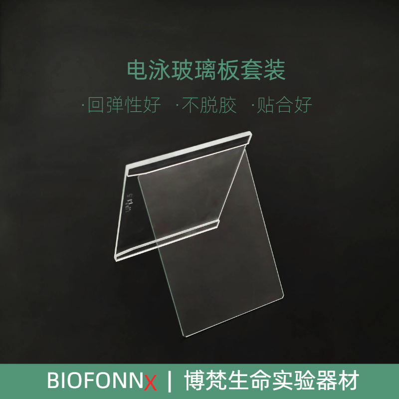 电泳玻璃板WB薄板厚板电泳玻璃板套装通用Bio-Rad