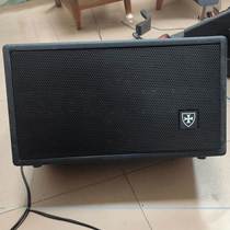 Teutonic Knights ST1 outdoor 380W high-power karaoke line array roadshow audio saxophone electric wind instrument speaker