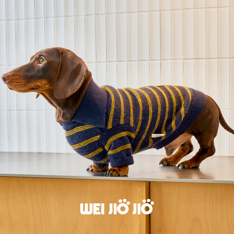 Weijiojio Autumn and Winter New Luxury Miu Series Color-Block Striped Polo Collar Thickened Warm Dog Sweater for Couples