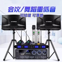 Shanshui Audio Official Flagship Store Internet Brand Subwoofer Conference Box Gym Dance Studio Home Karaoke