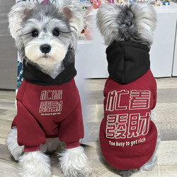 Dog and Cat Pet Clothes, Autumn and Winter Warm Trendy Brand Color-Blocking Schnauzer Teddy Silver Gradient Small and Medium-Sized Dog Sweatshirt