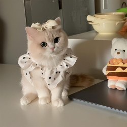 Cat Clothes Anti-Shedding Spring and Summer Pet Suspender Dress Dog Princess Dress Thin Vest Golden Gradient Ragdoll