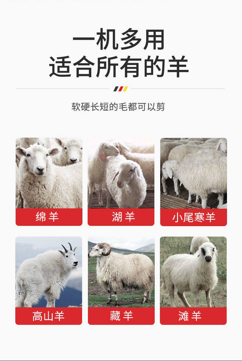 Ножницы 德国进口羊毛剪推子电动剪毛机专用剪子给羊剃毛的大功率剪羊毛神