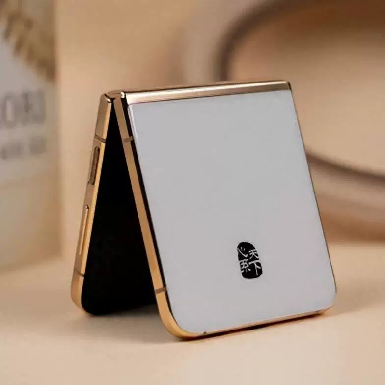 Сегмент Samsung/ W24 Flip SM-W7024ZWACHC заботится о мире складной экран оригинальный национальный банк