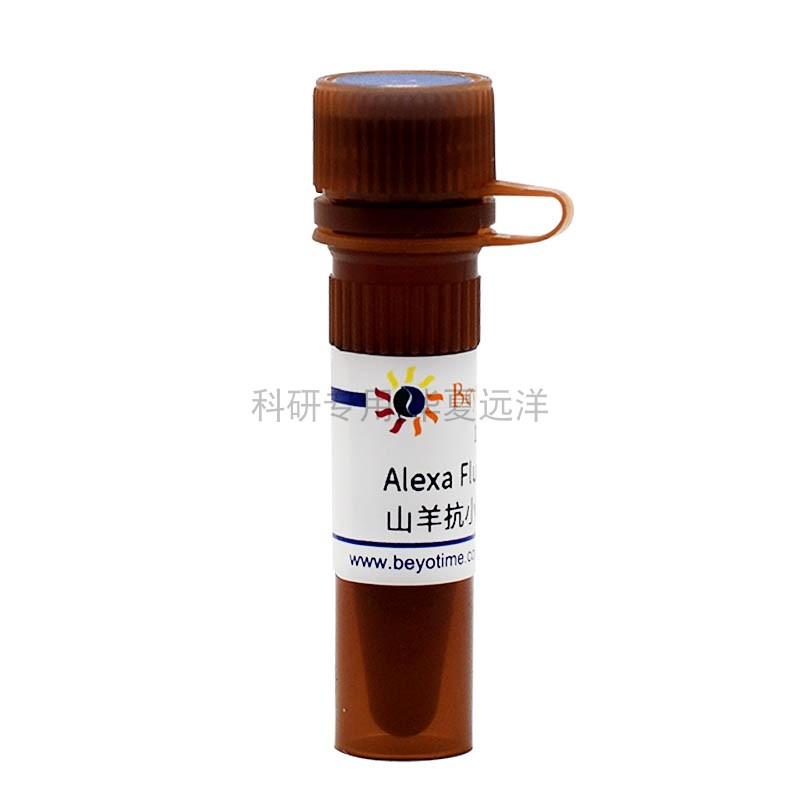 A0428-0.1ml，Alexa Fluor 488标记山羊抗小鼠IgG(H+L),碧云天