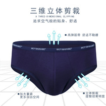 Mens underwear modal briefs comfortable simple breathable sexy mens week pants