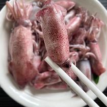 South Australia small squid light tube bullet tube blow tube fresh and quick-frozen