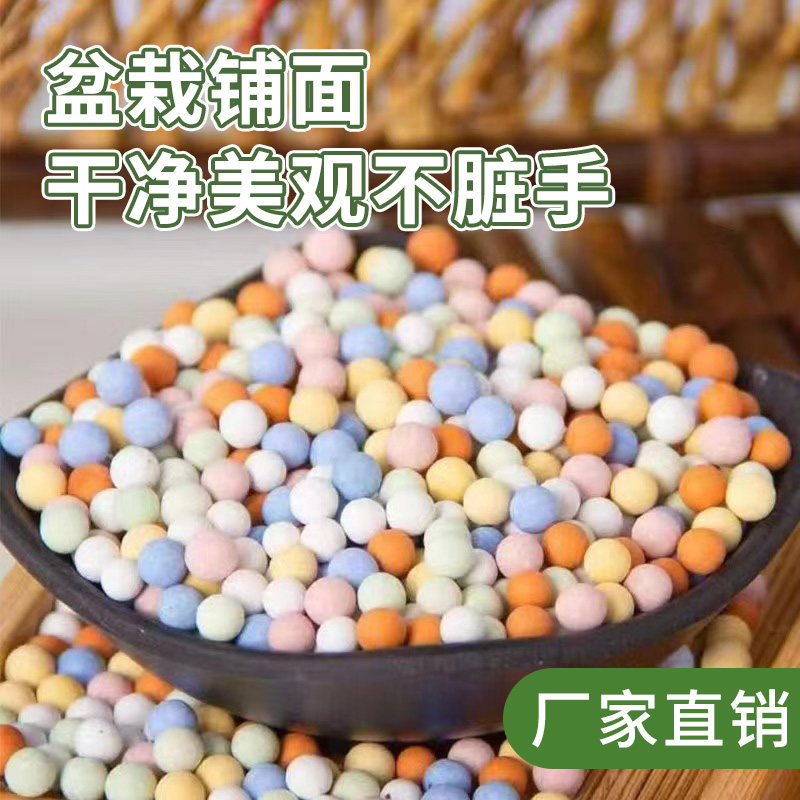 蜗螺净：庭院清洁神器，守护你的果蔬花卉免受蜗牛鼻涕虫侵害！