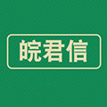 皖君信仪表的LOGO