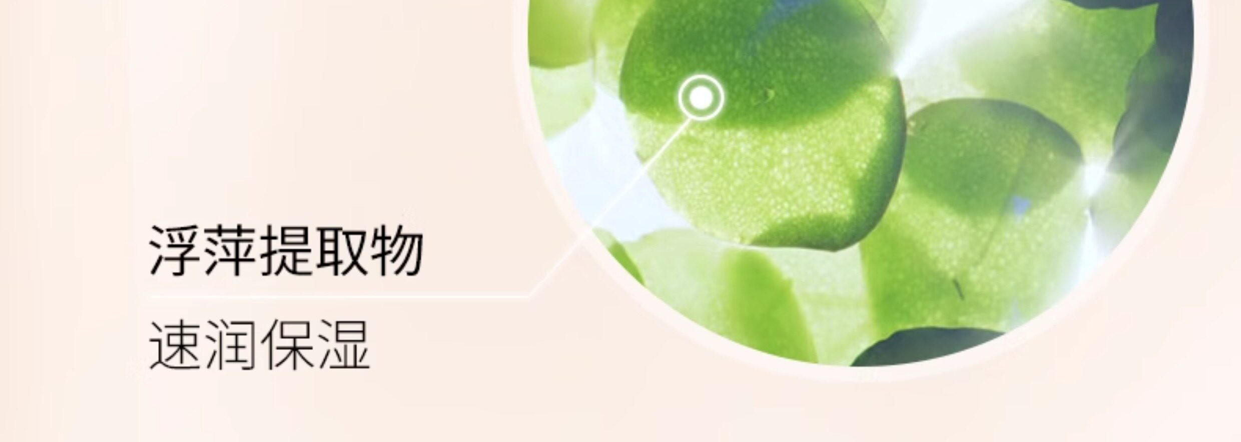 【中国直邮】 法国 香缇卡 全新第二代紫管隔离霜 自然肌肤妆前隔离霜 保湿遮瑕提亮肤色 Opaline欧泊色蛋白色 35g【白鹿同款】