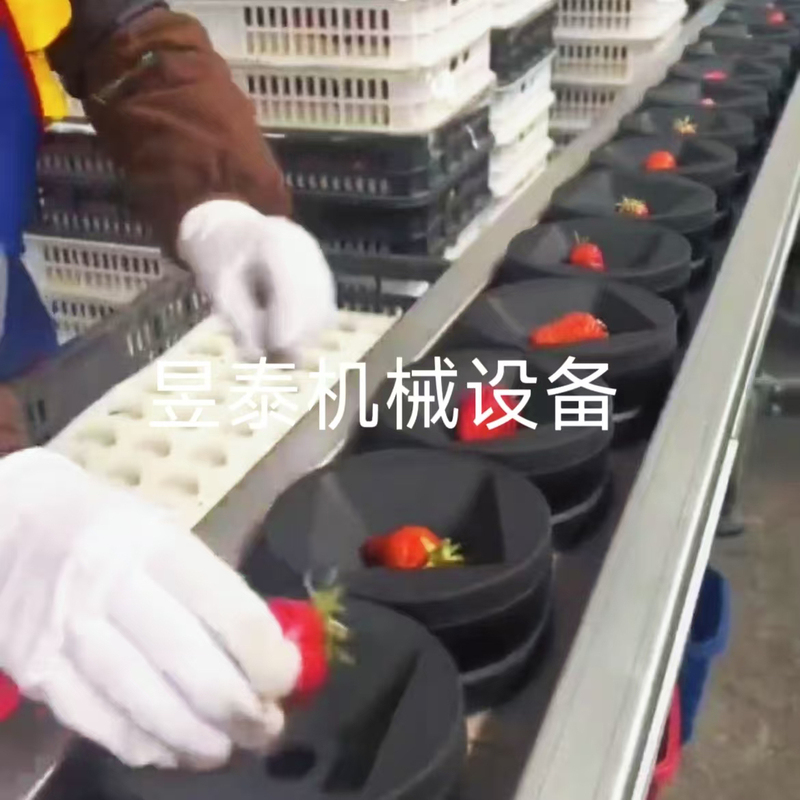 Fully Automatic Lossless Intelligent Fruit Selection Machine to Measure Sugar Content, Strawberry, Pear, Peach, Cantaloupe, Apple, Unicorn Melon Weight Selection Machine Fully Automatic Lossless Intelligent Fruit Selection Machine to Measure Sugar Content, Strawberry, Pear, Peach, Cantaloupe, Apple, Unicorn Melon Weight Selection Machine