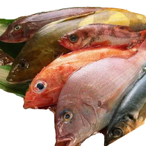 Shopping Card 0585 Pickup Voucher Card Electronic Voucher Company Gift Electronic Card SDF166