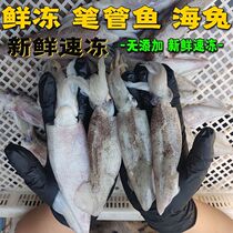 Pen tube fish roe fresh quick-frozen cuttlefish octopus fresh tube fish small cuttlefish fresh frozen squid