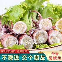 Wholesale large squid with paste large squid small tubes fresh frozen whole squid barbecue ingredients hotel