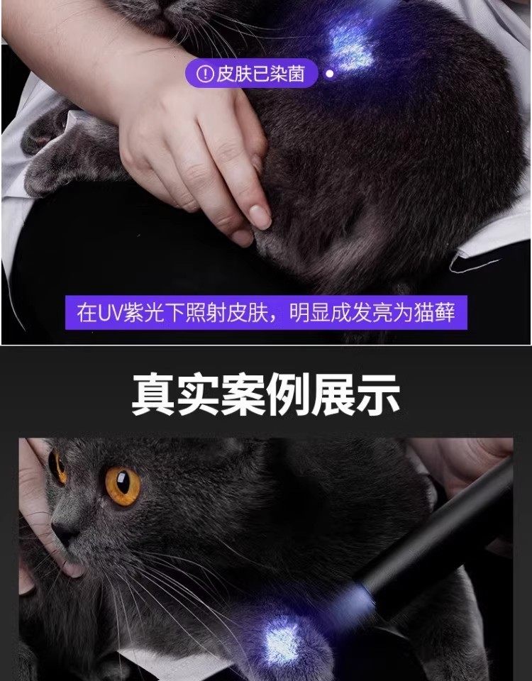 365Nm Uv Flashlight for Home Use, Suitable for Detecting Cat Urine, Uv Curing, Nail Art, Money Verification, and Fungus Detection