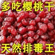 酸甜樱桃干无核车厘子干果脯蜜饯水果凉果干零食丽人膳补罐装