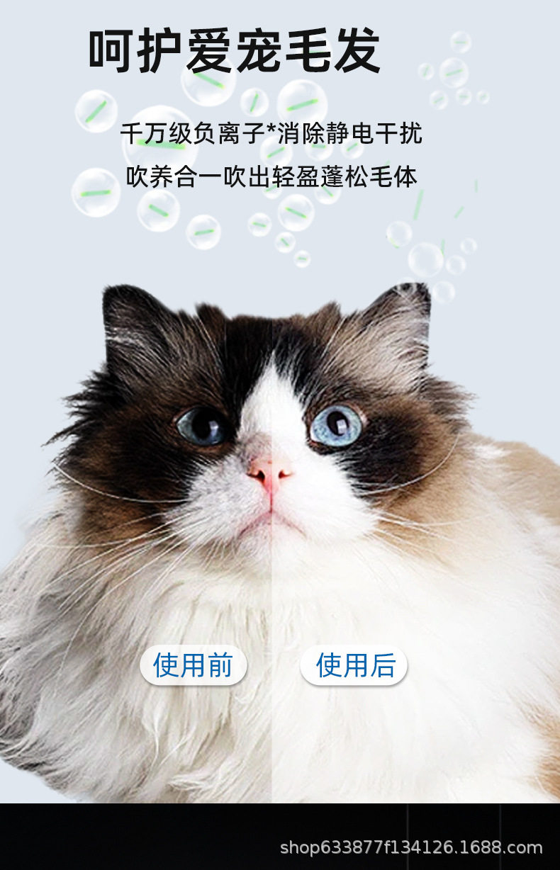 ПЭТ сушильный элемент 宠物烘干箱猫咪狗狗洗澡吹水机吹风机家用小型吹毛烘干神器 No brand