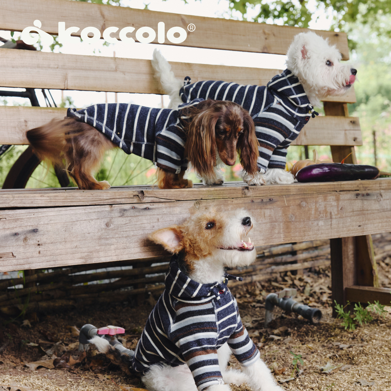 New Koccolo Striped Hoodie Sweatshirt, Autumn and Winter Warm High-Elastic Basic Style, Suitable for Dachshunds, West Highland Terriers, and Greyhounds