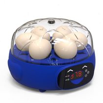 Huizhou Deli CEI-6 series fully automatic incubator temperature and humidity dual display LED egg illumination experimental egg incubator