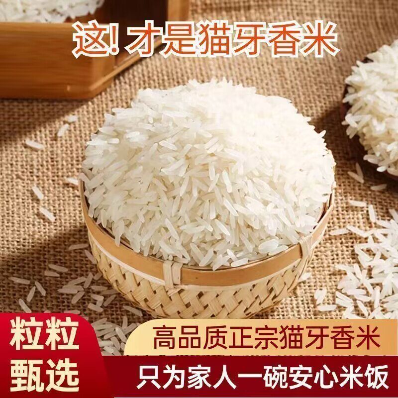 Cat Tooth Rice, a Special Food for Diabetics, Flagship Store for Sugar-Free Products Suitable for Diabetics, Pregnant Women, Sugar Control, and High Blood Pressure Patients. a Staple Food Substitute for Sugar, 0-Calorie Sugar, Suitable for the Elderly, Xylitol Sugar Snacks, and Whole Grains Cat Tooth Rice, a Special Food for Diabetics, Flagship Store for Sugar-Free Products Suitable for Diabetics, Pregnant Women, Sugar Control, and High Blood Pressure Patients. a Staple Food Substitute for Sugar, 0-Calorie Sugar, Suitable for the Elderly, Xylitol Sugar Snacks, and Whole Grains