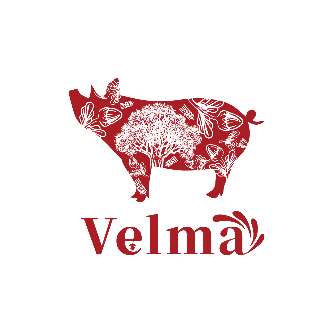 Velma火腿官方企业店的LOGO