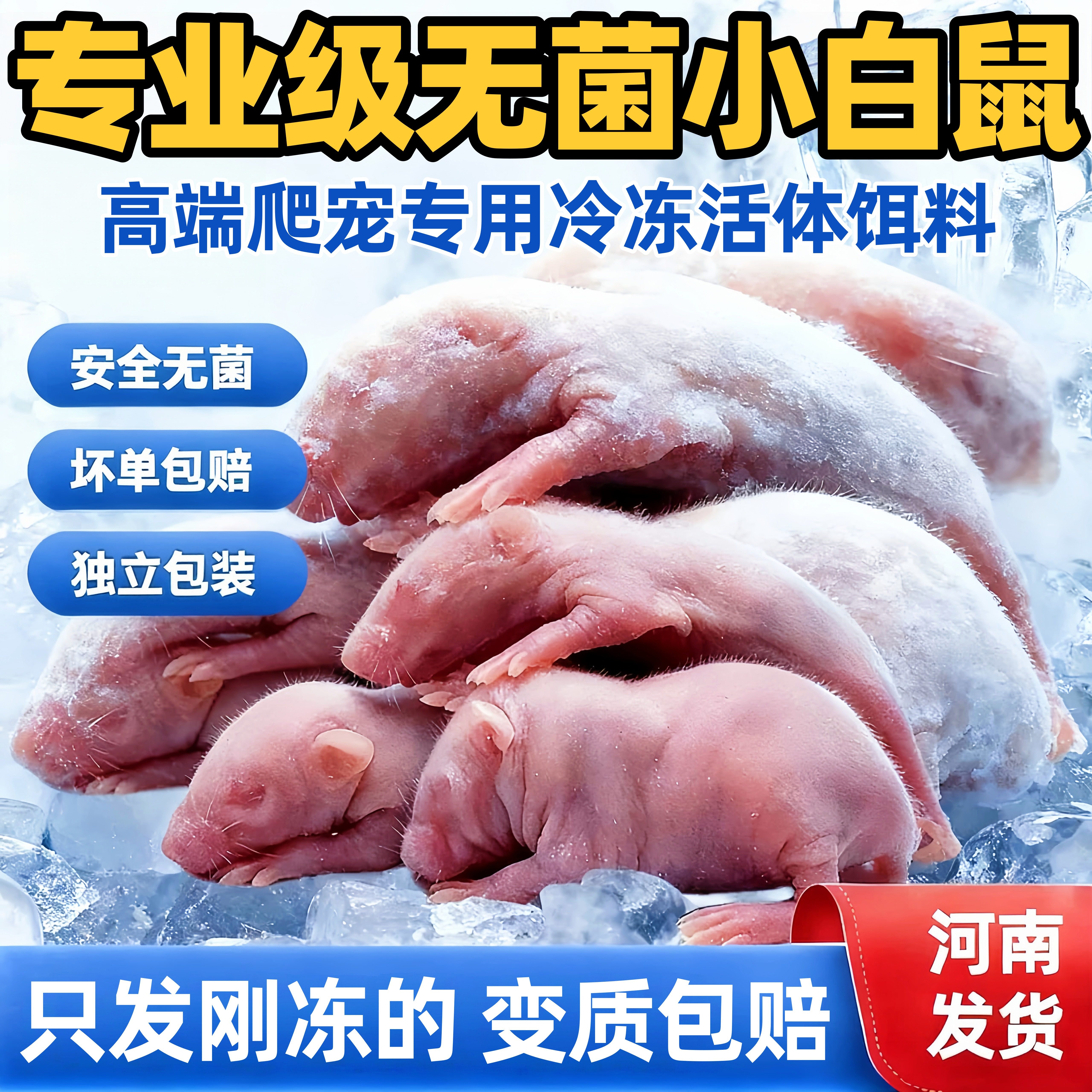 鼠大王养殖基地