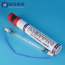 Paima UV lamp PM2961 ultraviolet UV light solid equipment lamp UV shadowless glue paint hardening lamp UV curing lamp
