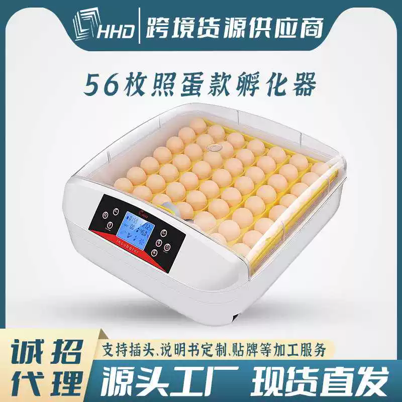 [跨境全自动宠物家用小型孵蛋器孵化器智能养殖专用设备鹦鹉芦丁鸡]