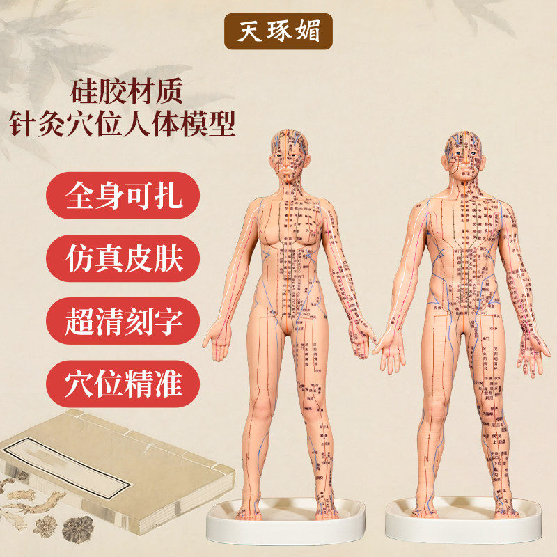 中医针灸人体模型经络穴位扎针硅胶仿真针灸大铜人小皮人