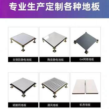All-Steel Pvc Anti-Static Flooring 600X600 Computer Room Elevated Ceramic Anti-Static Edgeless Network Movable Flooring