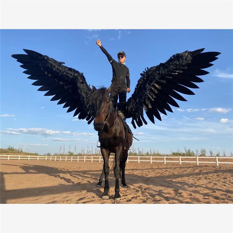 Pegasus Electric Retractable Wireless Remote Control with Saddle for Equestrian Performance Photography and Shooting, Pegasus Large Wings Scenic Spot Performance