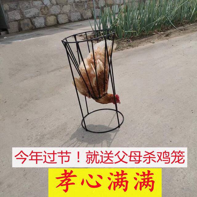 Chicken Slaughtering Tool, Stainless Steel Chicken Slaughtering Tool, Chicken Bloodletting Cone, Equipment for Slaughtering Chickens, Geese, and Ducks