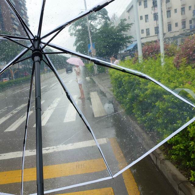 Transparent Umbrella, Good Quality, Korean Transparent Umbrella, Foldable, Automatic Opening and Closing, Forest Style, 70% off Models, for Men and Women, Students, Couples, Sunny Weather
