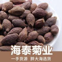 Bulk Guangxi round fruit fat sea flower fruit tea long fruit fat sea chrysanthemum tea source manufacturer