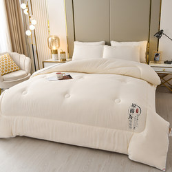 Roland Home Textiles Soy Fiber Quilt Winter Quilt Cotton Core Student Dormitory Summer Cooling Quilt Single Spring & Fall Quilt All Year Round Pieces