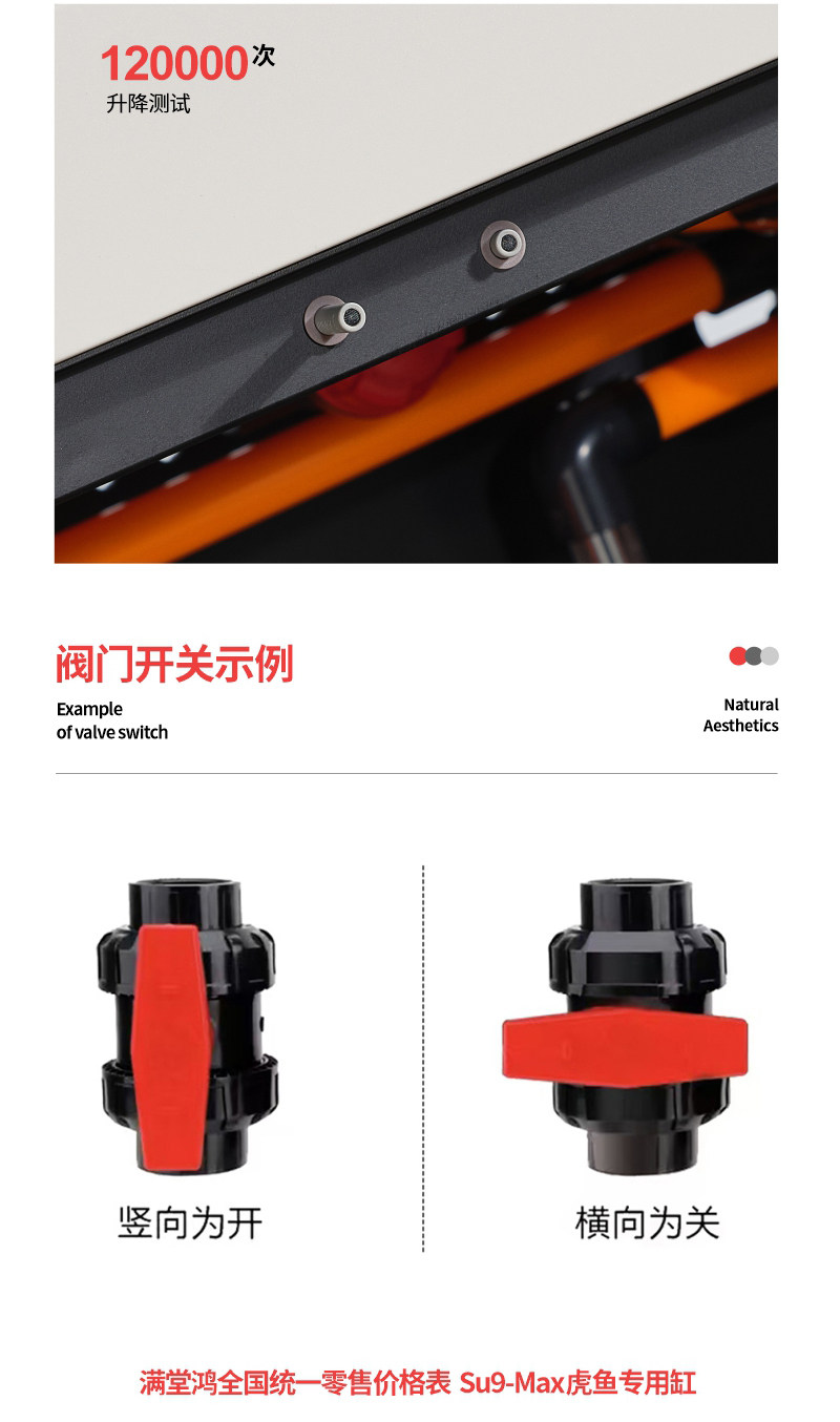满堂鸿SU9max不锈钢金晶超白高水位大型混养缸龙鱼缸虎鱼缸 detail 24