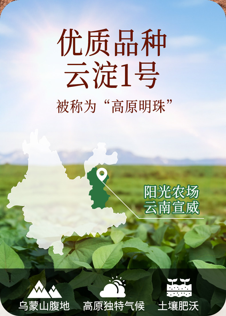 安享好物 安享S级红薯淀粉-展艺有机红薯淀粉 国标 