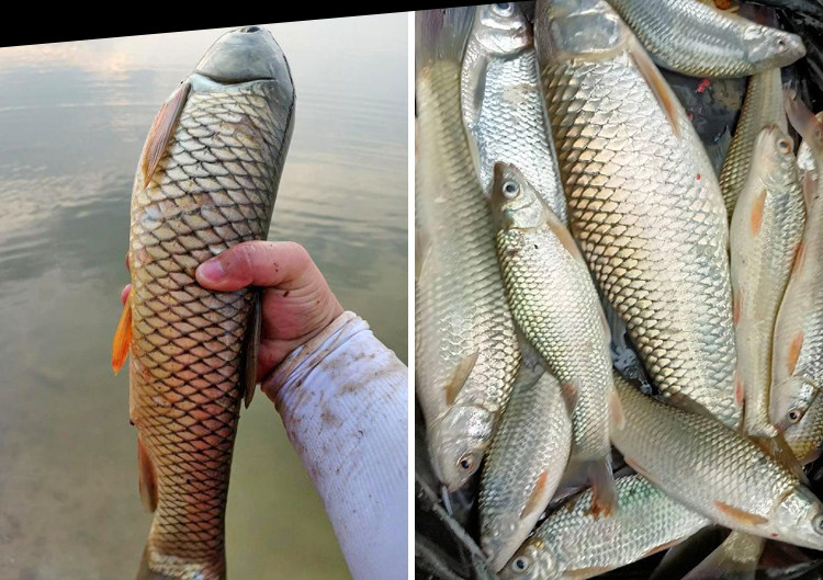 Рокки удочкой 矶竿超轻硬矶钓竿357号远投28 19调抛竿滑漂杆淡海两用矶竿卷线 线器