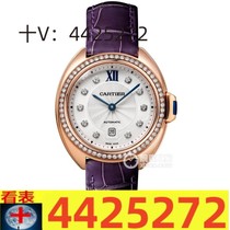 (Deposit) Craftsmanship and Quality Classic Collection Big Brand Business Fully Automatic Mechanical Steel Band Watch dg387