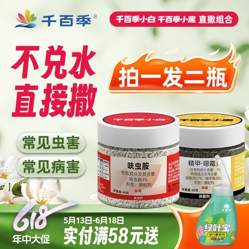 常見植物病蟲害防治全圖解：600張實境照！69種在家最常種的觀葉