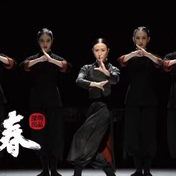 Dance Drama Spring Evening Spring Clothing Dance Clothing Ink Classical Dance Art Test Performance Clothing Martial Arts Master Performance Practice Clothing