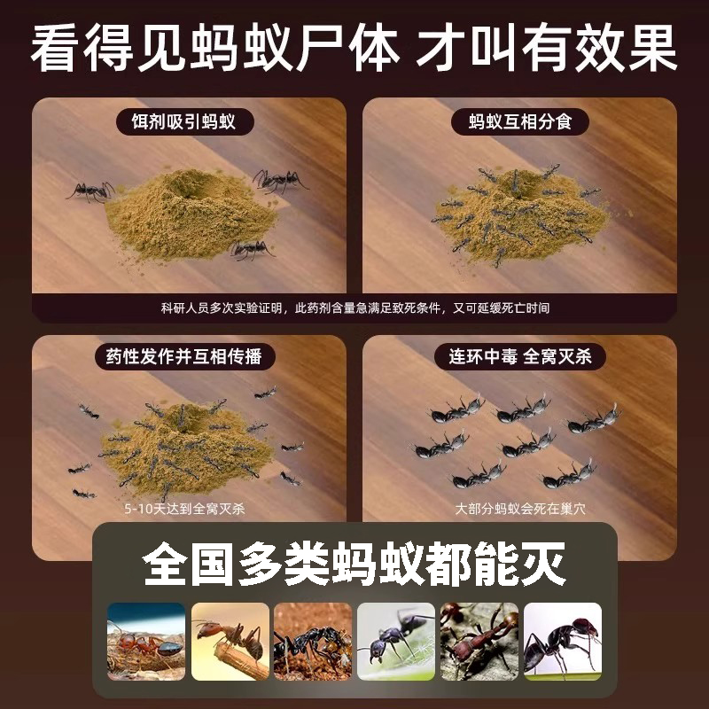 灭小黄蚂蚁药：厨房花盆菜地一窝端，强力无毒守护家！🐜🏡