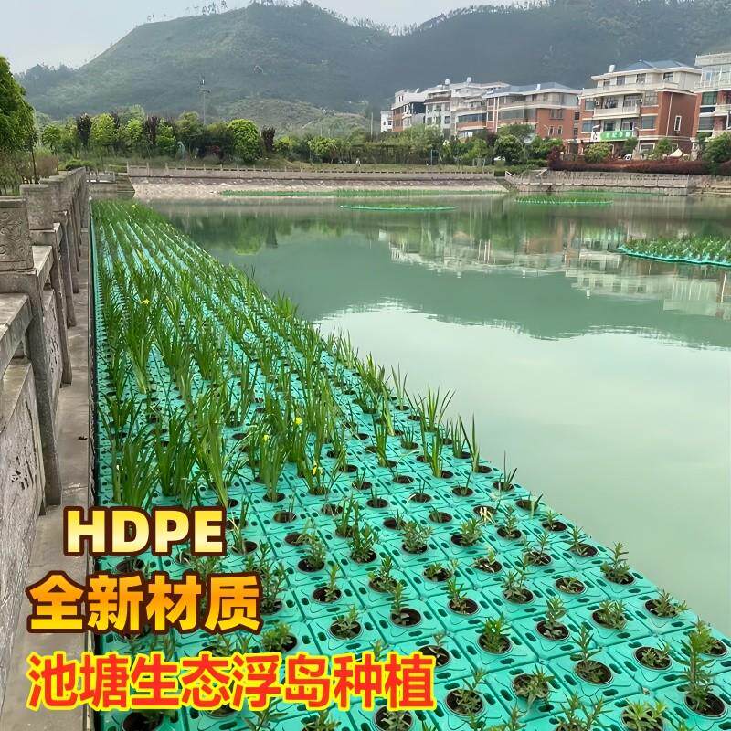 打造梦想水上花园的秘籍:生态浮岛植物浮盘!🏡🌿-冲浪板-淘宝好物网